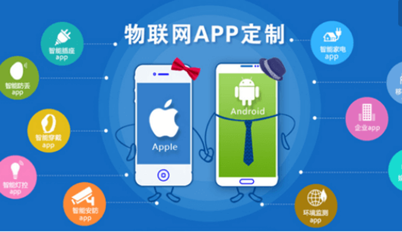 开发:探索软件开发的不同路径